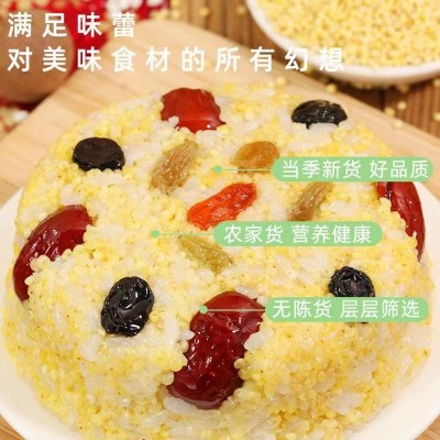 东北大黄米黏米500g*4真空包装批发散装五谷杂粮新米煮粥包子粽子图3