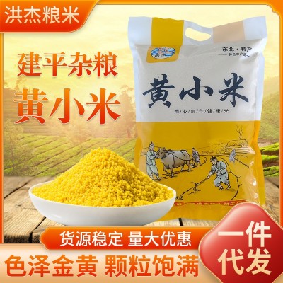 东北特产黄小米新米5斤贴牌代加工粗粮煮粥小米五谷杂粮散装批发图2