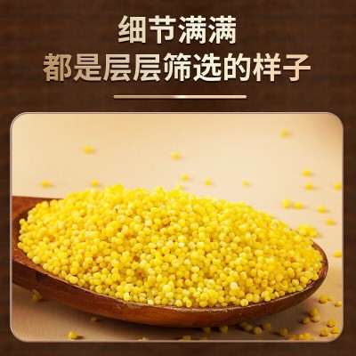 赤川 金苗黄小米新米 地理标志认证（粗粮 小米粥）500g 送礼图4