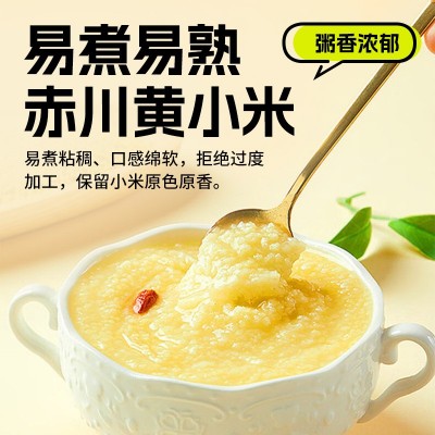 赤川赤峰小米内蒙古黄小米2kg东北粗粮五谷杂粮小米粥图2