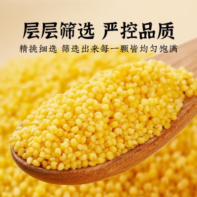赤川赤峰小米内蒙古黄小米2kg东北粗粮五谷杂粮小米粥图5
