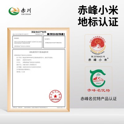赤川敖汉黄小米5斤内蒙古赤峰小米粥杂粮粥黄小米新米批发图2