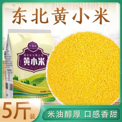 正宗小黄米新米5斤 小米粥东北农家自产杂粮黄小米月子米粘糯粮食图1