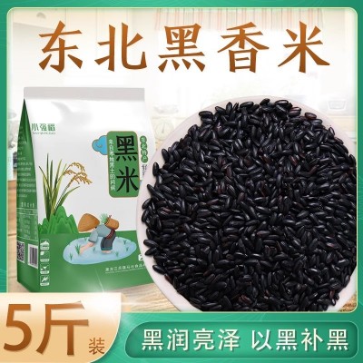 23年新东北黑米5斤黑龙江五常黑香米无染色杂孕妇粥黑米粥黑米饭图1
