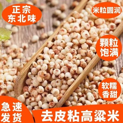红糯高粱米食用500g真空东北五谷杂粮粗粮新米散装批发去壳高粱米图3