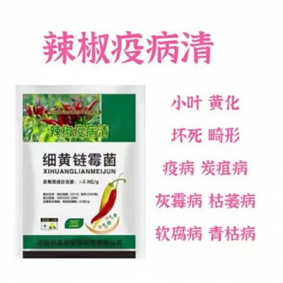 辣椒疫病清 小叶黄叶畸形灰霉病疮痂病疫病青枯病根腐病软腐病等图2
