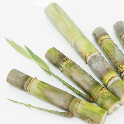 6根装每根3-4芽青皮绿皮水果甘蔗种陶山农家引进种苗甘蔗梢根芽图2
