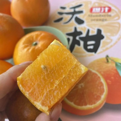 精选广西沃柑当季新鲜水果超甜多汁批发薄皮现摘现发 3斤/5斤/9斤图4