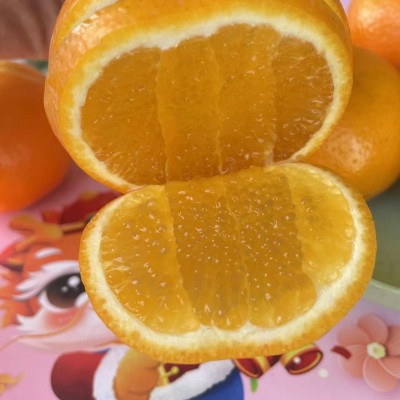 精选广西沃柑当季新鲜水果超甜多汁批发薄皮现摘现发 3斤/5斤/9斤图3