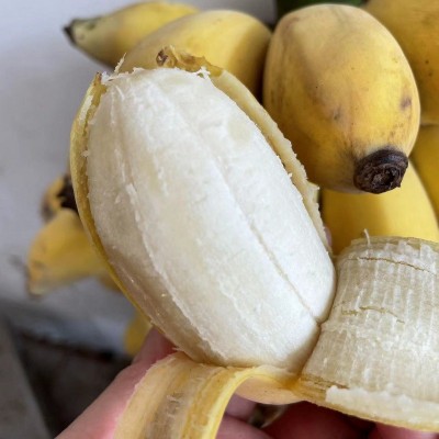 广西贡蕉粉蕉西贡蕉应季水果现砍现发产地直供青蕉发货净重9斤装图3