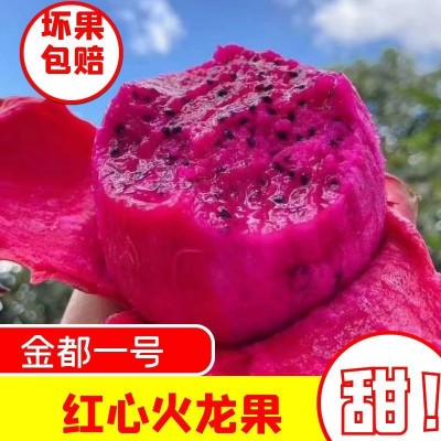 金都一号红心火龙果红肉当季新鲜采摘孕妇水果1斤2斤3斤5斤装图1