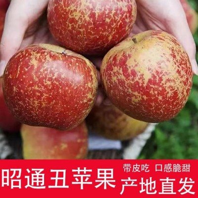 现摘正宗云南昭通冰糖心丑苹果当季水果脆甜新鲜红露整箱包邮发屁图4