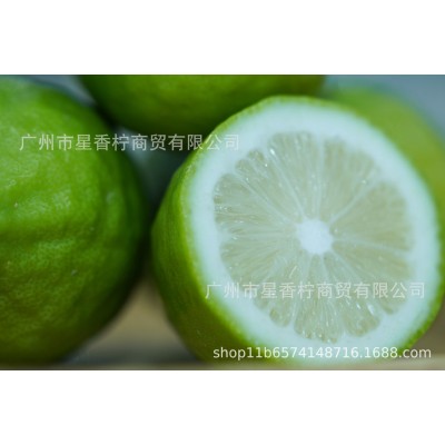 广东香水柠檬果园现摘现发奶茶店专用批发一级果全国一件代发50斤图1