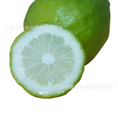 广东香水柠檬果园现摘现发奶茶店专用批发一级果全国一件代发50斤图2