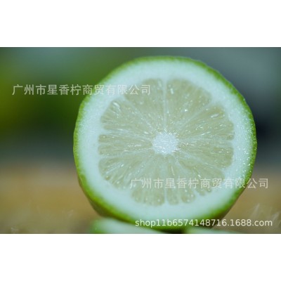 广东无籽香水柠檬果园现摘现发奶茶店专用批发一级果全国一件代发图4