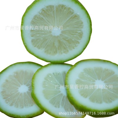 广东无籽香水柠檬果园现摘现发奶茶店专用批发一级果全国一件代发图2