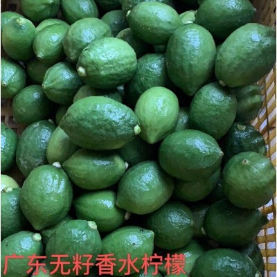 正宗广东香水柠檬新鲜现摘青柠檬奶茶店专用一级果整箱图2