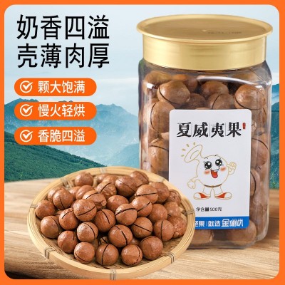金喇叭罐装夏威夷果批发新货大颗粒奶香味原味夏威夷果批发零食图4