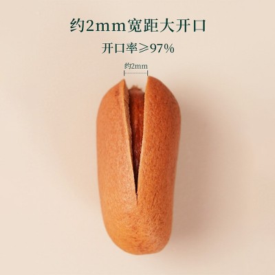 新农哥大颗粒东北松子手剥干果特大红松籽孕妇儿童原味坚果零食图2