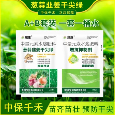 葱姜蒜韭干尖绿灵大葱韭菜小葱大蒜预防干尖黄叶缺素叶绿素叶面肥图1