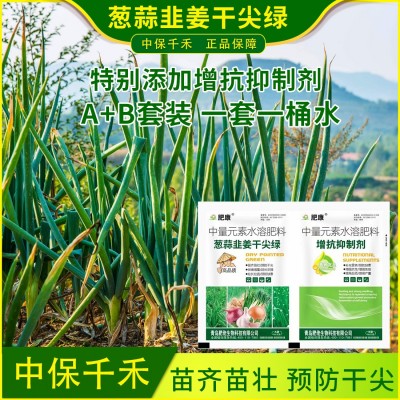 葱姜蒜韭干尖绿灵大葱韭菜小葱大蒜预防干尖黄叶缺素叶绿素叶面肥图2
