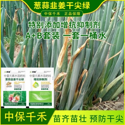 葱姜蒜韭干尖绿灵大葱韭菜小葱大蒜预防干尖黄叶缺素叶绿素叶面肥图3
