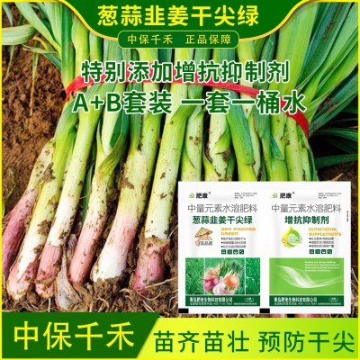 葱姜蒜韭干尖绿灵大葱韭菜小葱大蒜预防干尖黄叶缺素叶绿素叶面肥图4
