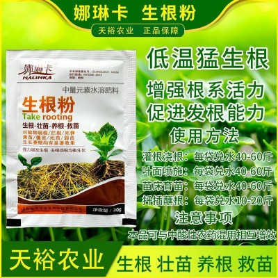 生根粉植物扦插移栽专用树木快速吸收生根水发根剂液果树壮苗剂图3