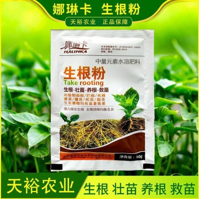 生根粉植物扦插移栽专用树木快速吸收生根水发根剂液果树壮苗剂图1