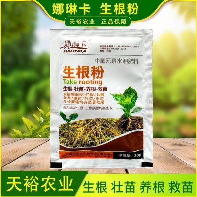 生根粉植物扦插移栽专用树木快速吸收生根水发根剂液果树壮苗剂图2
