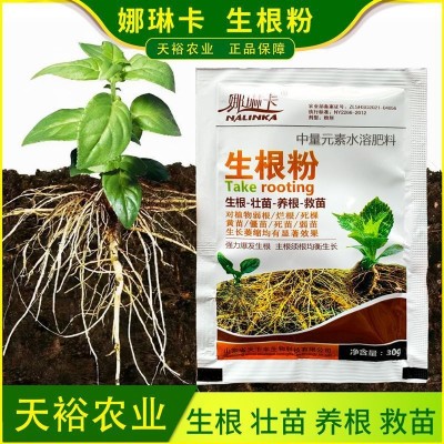生根粉植物扦插移栽专用树木快速吸收生根水发根剂液果树壮苗剂图4