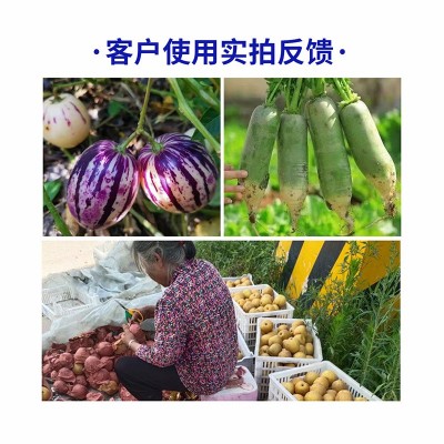 绿陇硼肥农用颗粒硼缓释肥朋肥蔬菜棉花果树水稻玉米花生基施肥料图4