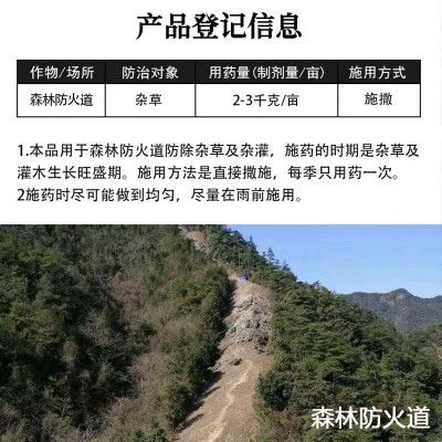 批发环嗪酮杀大树竹子灌木除树剂工厂铁路机场杂草专用森林防火道图4