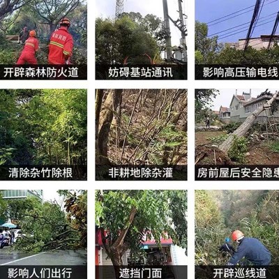 工厂批发环嗪酮杀大树竹子灌木除树剂铁路机场杂草专用森林防火道图3