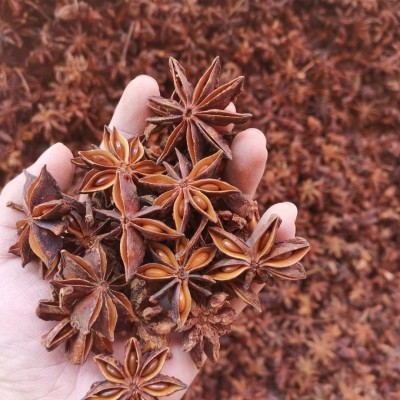 广西大红水烫八角干春花 卤料调味料烧烤粉必备配方图4