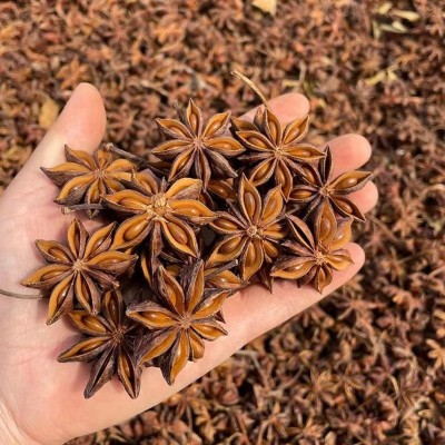 调味香料批发广西大红八角全干无硫干货农家自产八角卤料调料500g图4