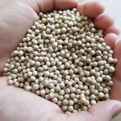 海南白胡椒粉调味料去腥增香腌料批发白胡椒粉家用图3