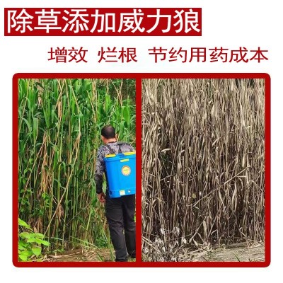 威力狼高浓度定向渗透农用助剂树竹草烂根必加农用有机硅助剂图4