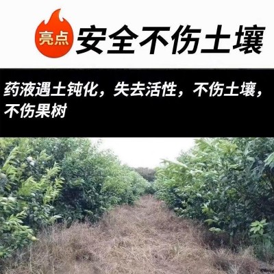 精草铵膦铵盐牛筋草专用除草烂根剂农药正品草胺磷安磷果园灭草剂图3