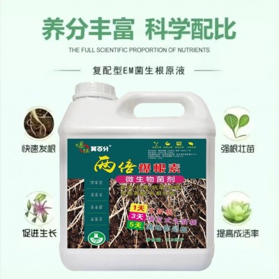 爆根原液生根壮苗剂生根液氨基酸猛生根水溶肥冲施料根多多王素剂图1