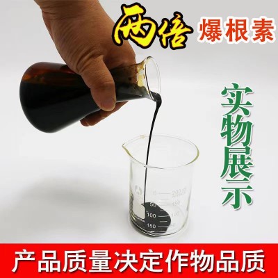 爆根原液生根壮苗剂生根液氨基酸猛生根水溶肥冲施料根多多王素剂图5