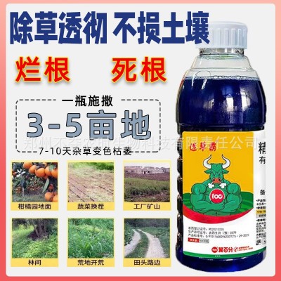 高浓度草胺磷11%精草铵膦草安铵胺磷铵盐牛筋草小飞蓬农药除草剂图2