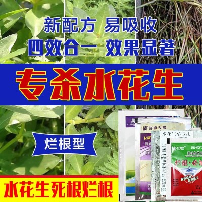 水花生套装四效合一专用除草剂烂根阔叶杂草氯氟吡氧乙酸异辛酯图2