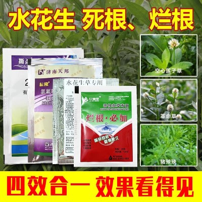 水花生套装四效合一专用除草剂烂根阔叶杂草氯氟吡氧乙酸异辛酯图1