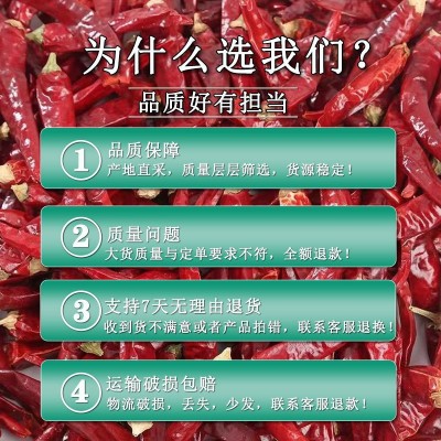 河南新一代天鹰椒干辣椒三樱椒炒菜红油专用微辣特香辣椒干朝天椒图4