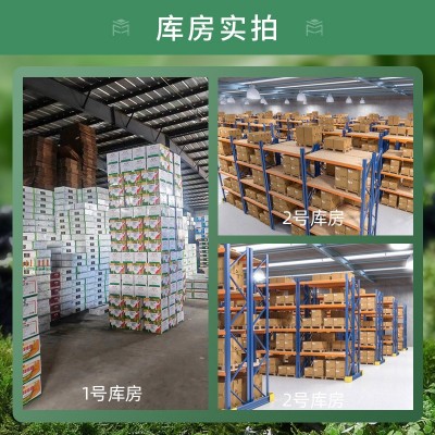 先正达丰达金选吡唑醚菌酯炭疽病白粉病斑点落叶病农药批发杀虫剂图3