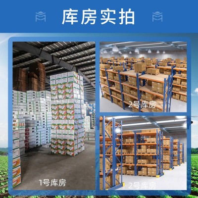 瑞士先正达阿克泰噻虫嗪蚜虫白粉虱蓟马蔬菜花卉农药农作杀虫剂图4