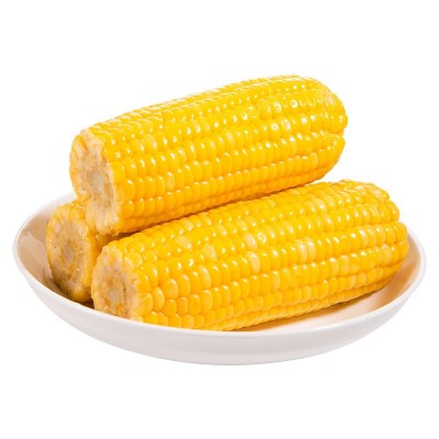 广西水果玉米棒鲜嫩甜玉米230gX8袋基地厂家直批即食真空粗粮代餐图5