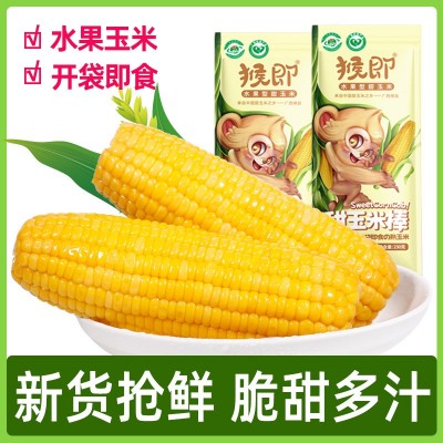 广西水果玉米棒鲜嫩甜玉米230gX8袋基地厂家直批即食真空粗粮代餐图1