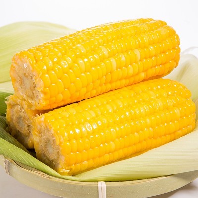广西水果玉米棒鲜嫩甜玉米230gX8袋基地厂家直批即食真空粗粮代餐图3